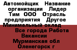 Автомойщик › Название организации ­ Лидер Тим, ООО › Отрасль предприятия ­ Другое › Минимальный оклад ­ 19 000 - Все города Работа » Вакансии   . Мурманская обл.,Оленегорск г.